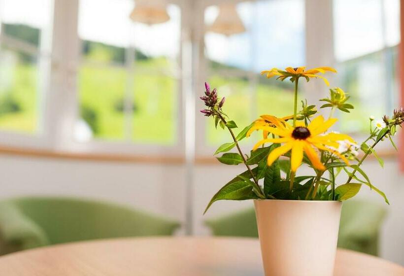 اتاق استاندارد با چشمانداز, Bergzeit