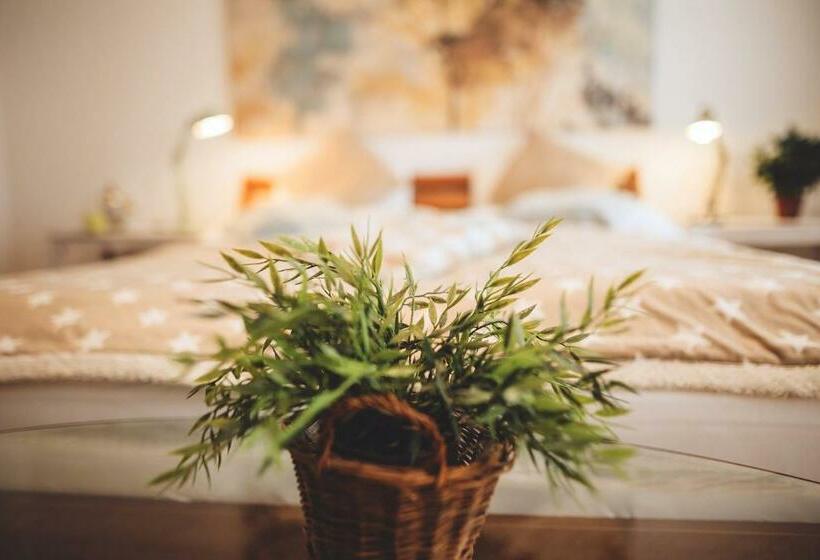 スタンダードルーム, Das Hotel Stern, B&b Kg Digital & Contactless Check In