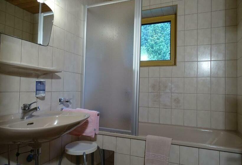 스탠다드 룸, Gasthof Geierwallihof