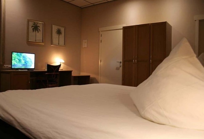 舒适三人间, Brasserie Ingredi