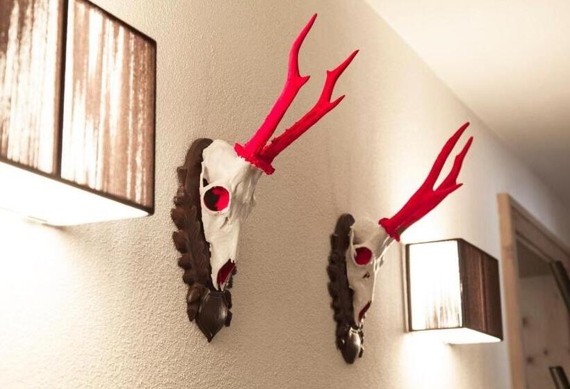 آپارتمان 1 خوابه با چشم‌انداز, Schweiger