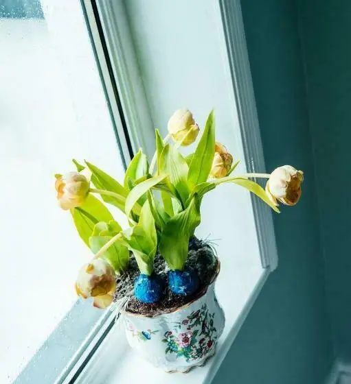 Standard Yhden Hengen Huone, Lios Na Manach Eco B&b