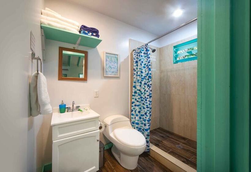 Habitación Estándar, Puerta Azul