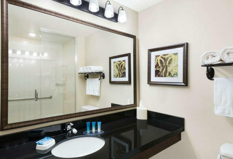 스탠다드 룸 킹사이즈 침대, Best Western Plus Hudson Hotel & Suites