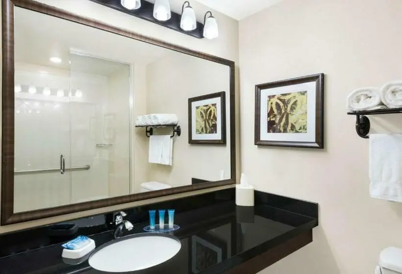 キングサイズベッドのデラックスルーム, Best Western Plus Hudson Hotel & Suites