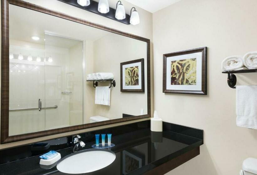 디럭스 룸, Best Western Plus Hudson Hotel & Suites