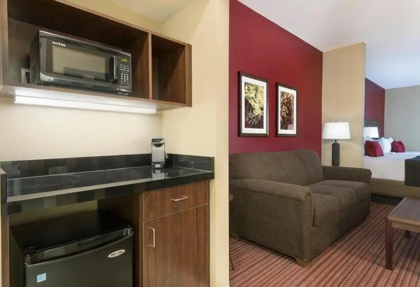 デラックススイート, Best Western Plus Hudson Hotel & Suites