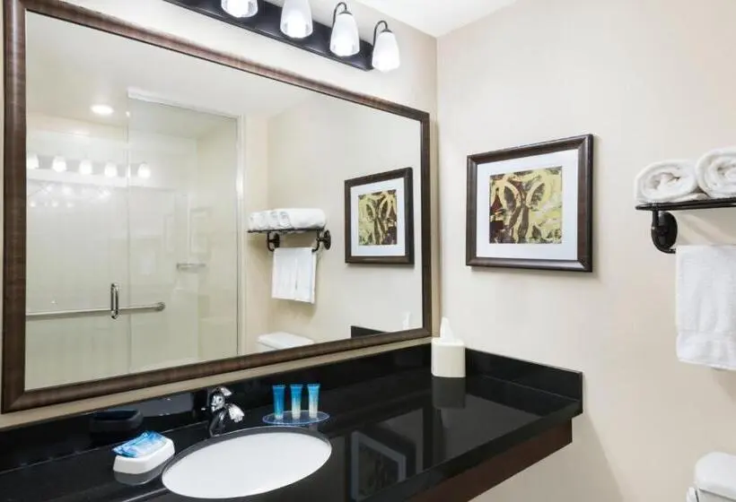 身障者適用キングサイズベッドルーム, Best Western Plus Hudson Hotel & Suites