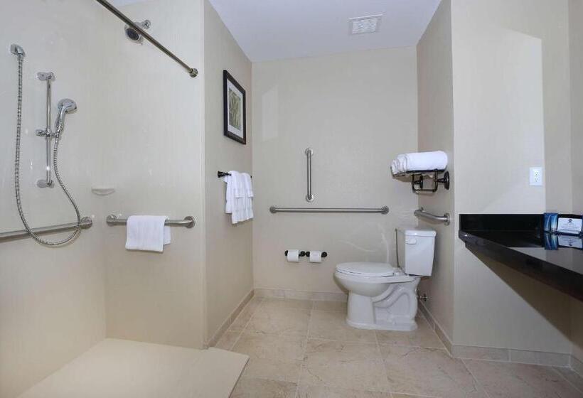 장애인을 위한 킹사이즈 침대 스탠다드 룸, Best Western Plus Hudson Hotel & Suites
