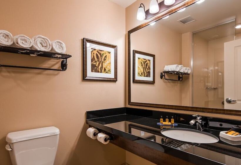 جناح لذوى الاحتياجات الخاصة, Best Western Plus Hudson Hotel & Suites