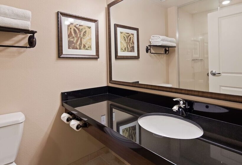 جناح لذوى الاحتياجات الخاصة, Best Western Plus Hudson Hotel & Suites