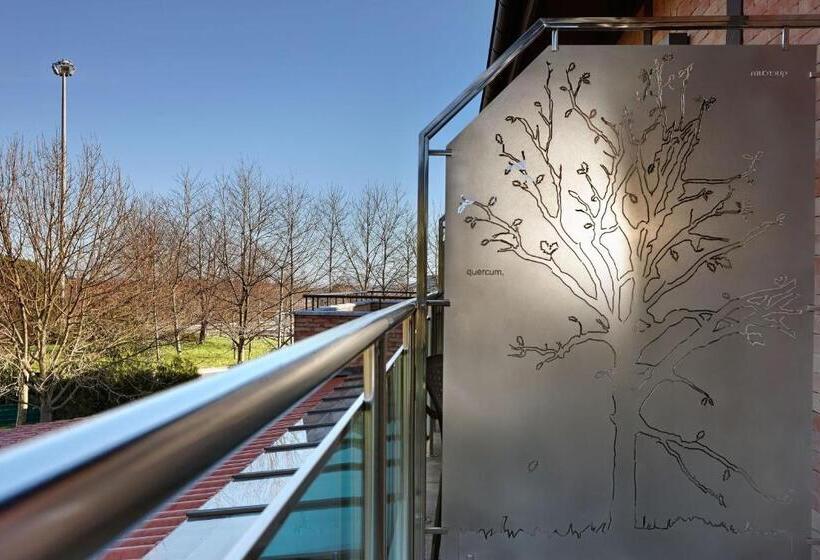 高级大房间, Atalaia