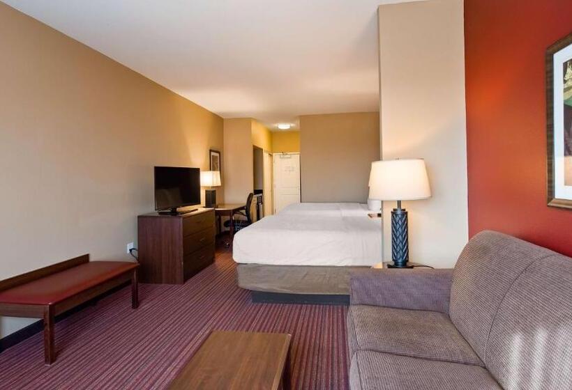 جناح ديلوكس, Best Western Plus Hudson Hotel & Suites