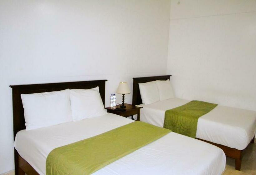 标准间, Habitation Des Lauriers