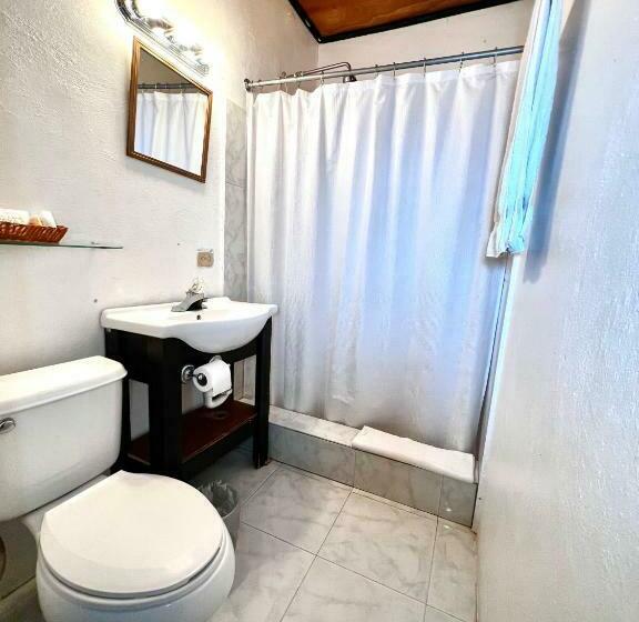 高级大房间, Habitation Des Lauriers