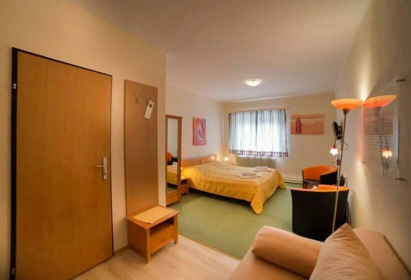 اتاق کلاسیک با چشمانداز شهر, Magnus Klause