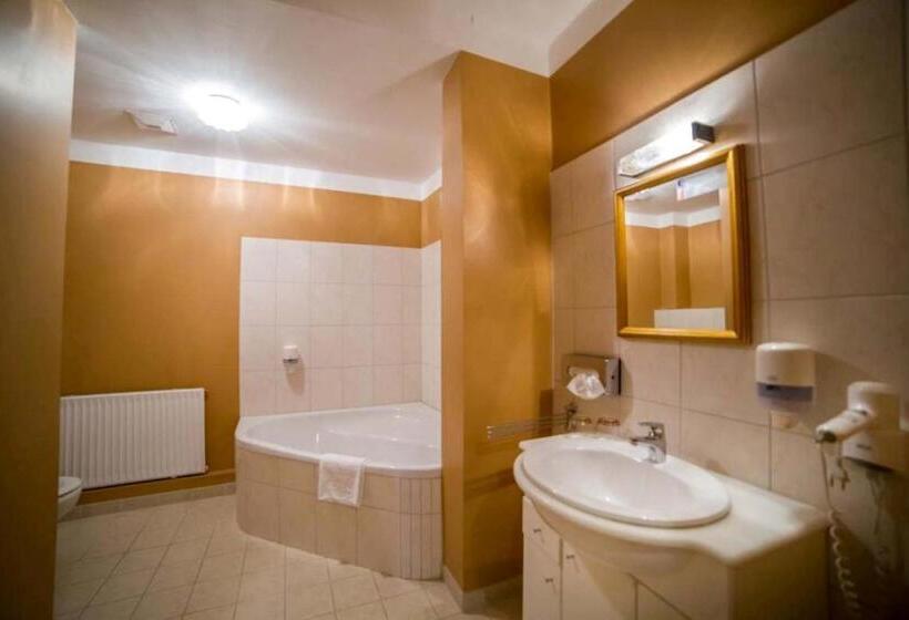 اتاق سوپریور با چشمانداز شهر, Magnus Klause