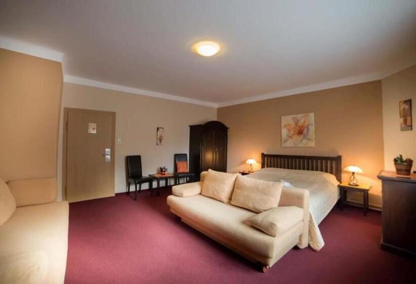 اتاق سوپریور با چشمانداز شهر, Magnus Klause