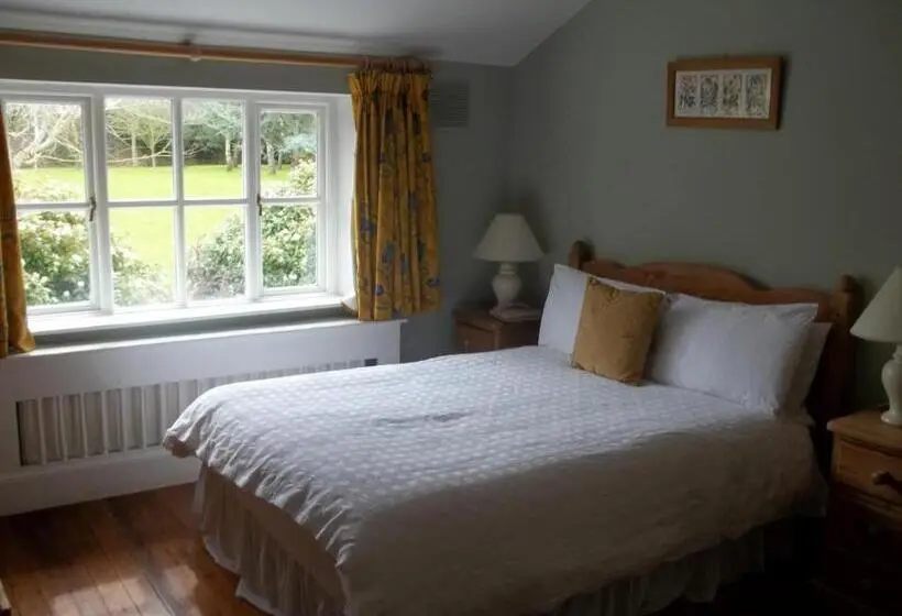 Standard Yhden Hengen Huone, Raheen House