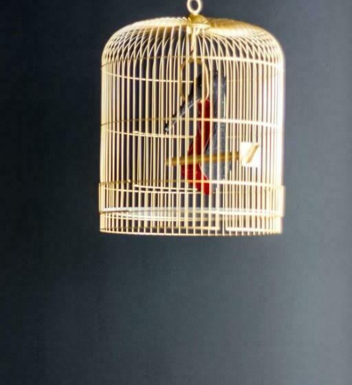 سوییت لوکس, Rm The Experience Small Portuguese Hotels