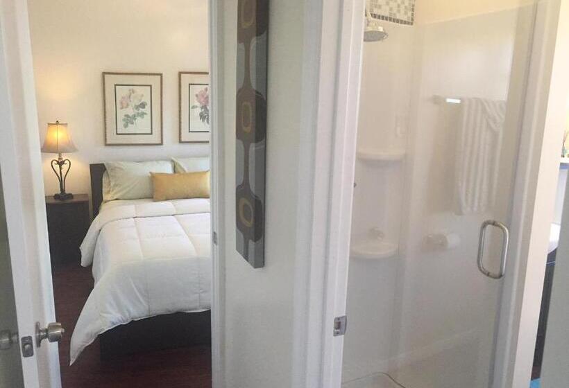 Lejlighed 1 Soveværelse, Royal