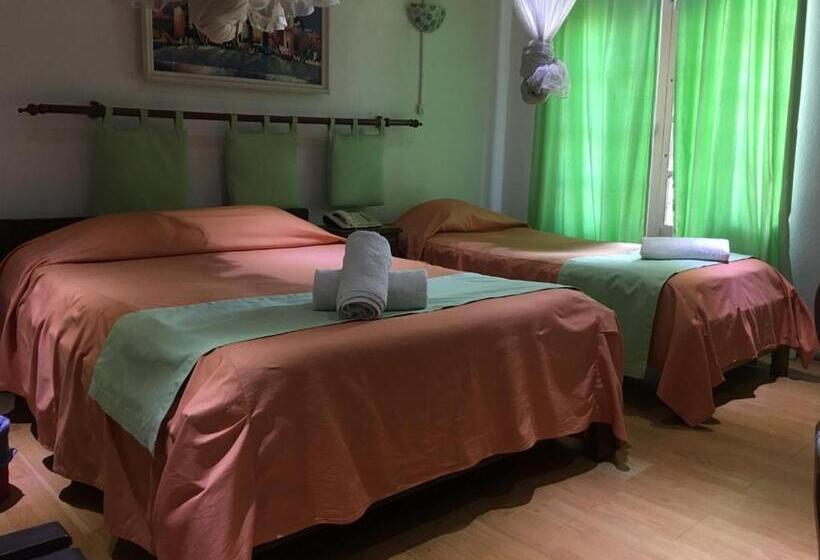 اتاق خانوادگی, Tana Jacaranda