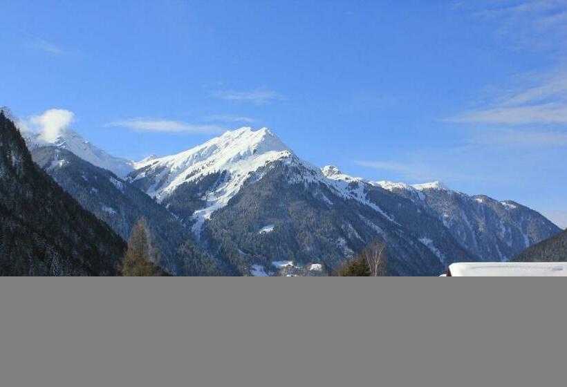 חדר סטנדרט יחיד, Boutiquethotel Grandau