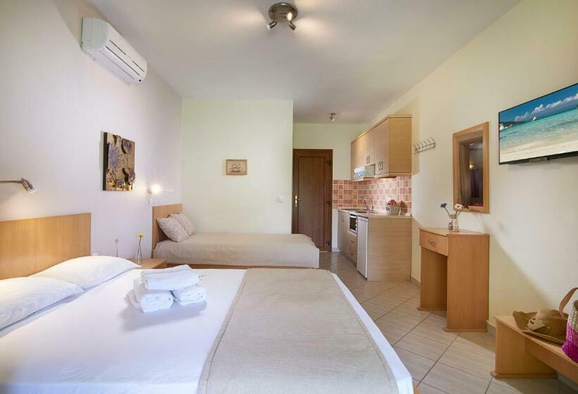 סטודיו משפחתי, Top Studios