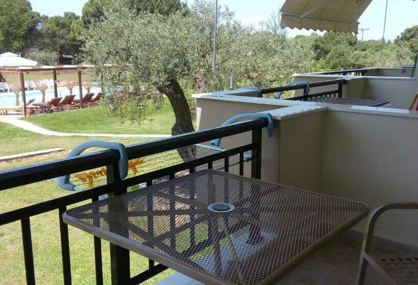 סטודיו משפחתי, Top Studios