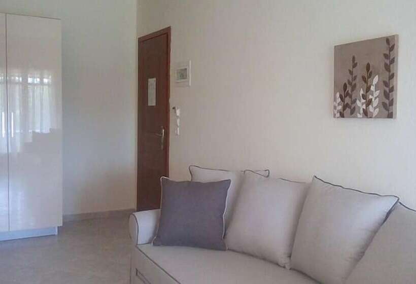 סטודיו משפחתי, Top Studios