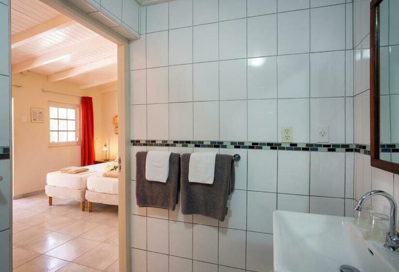 خانه 1 خوابه, B&b Sombre Di Kabana