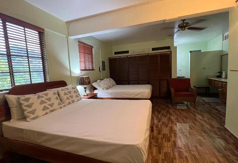 سوییت لوکس, Castlevue B&b