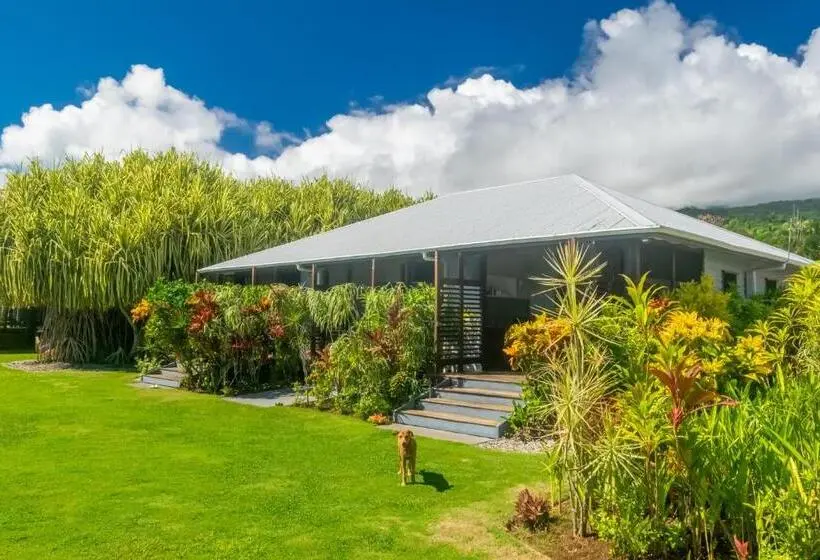 Chambre Familiale Vue Mer, Aroha Taveuni Beachfront Bures