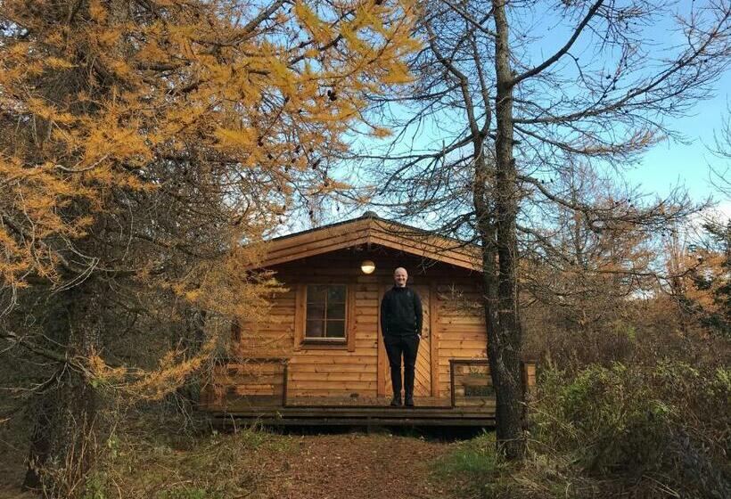 خانه 1 خوابه, Eyvindara