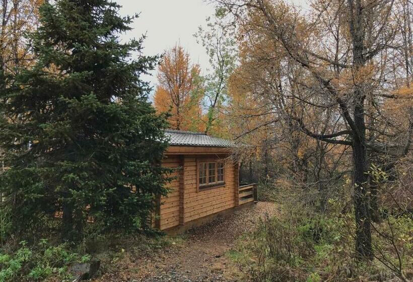 خانه 1 خوابه, Eyvindara