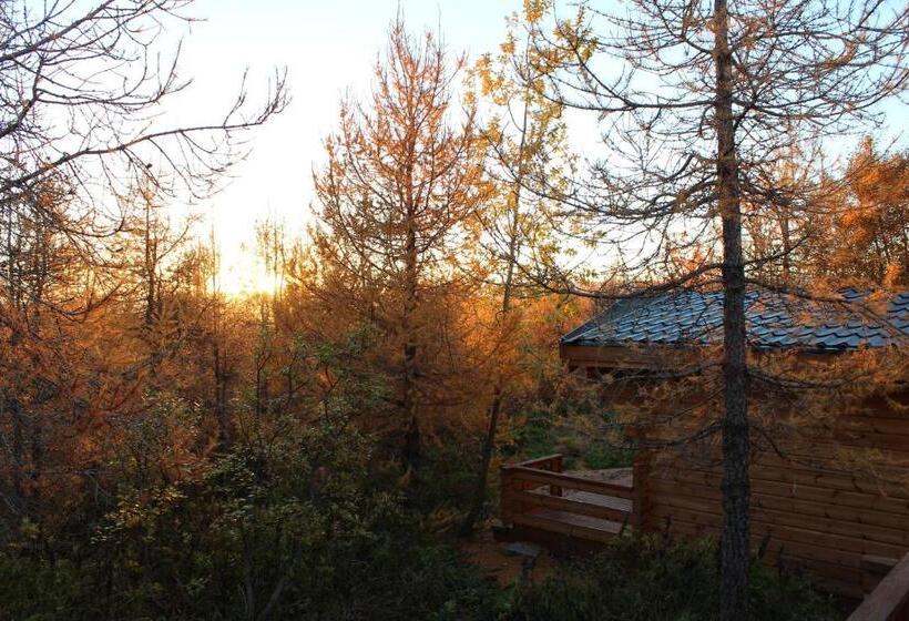 خانه 1 خوابه, Eyvindara