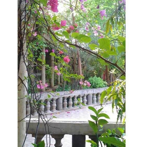 اتاق استاندارد, Proland Inn