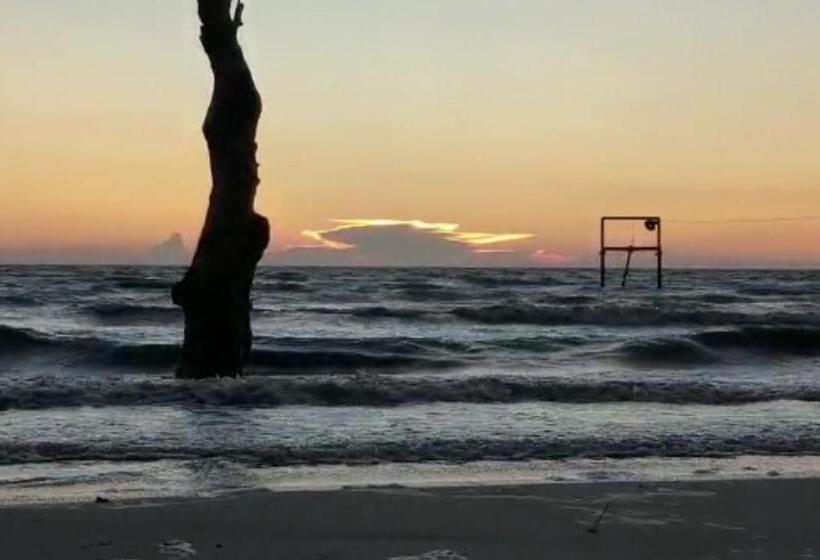 标准工作室带泳池景, Gold Coast Rose Studio