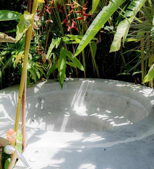 סוויטה נוף לבריכה, Thrive A Liv Life