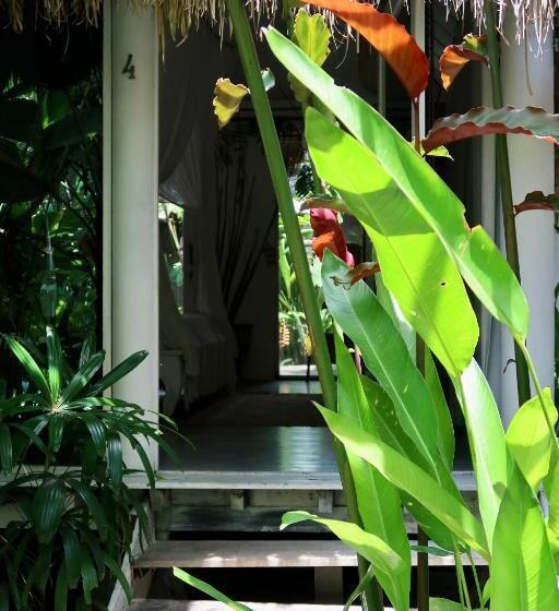 סוויטה נוף לבריכה, Thrive A Liv Life