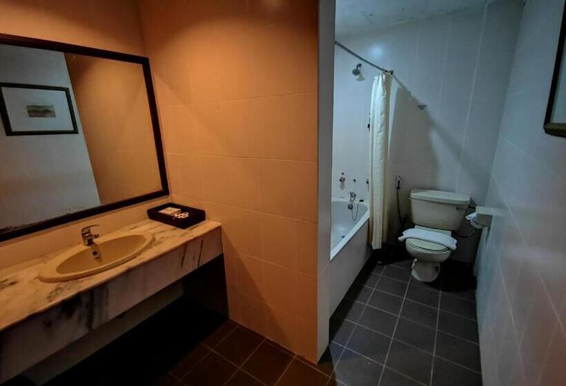 Студия Стандарт, The Grand Beach Resort Port Dickson