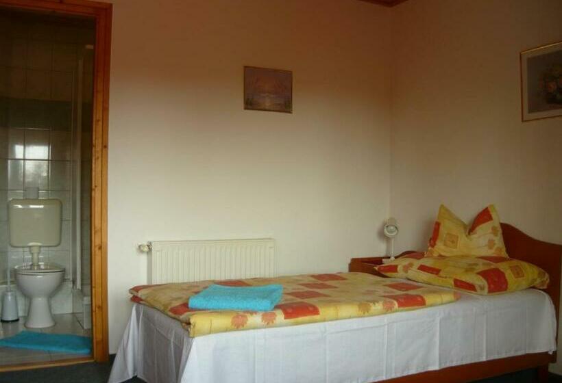 标准单人间, Erika Pension