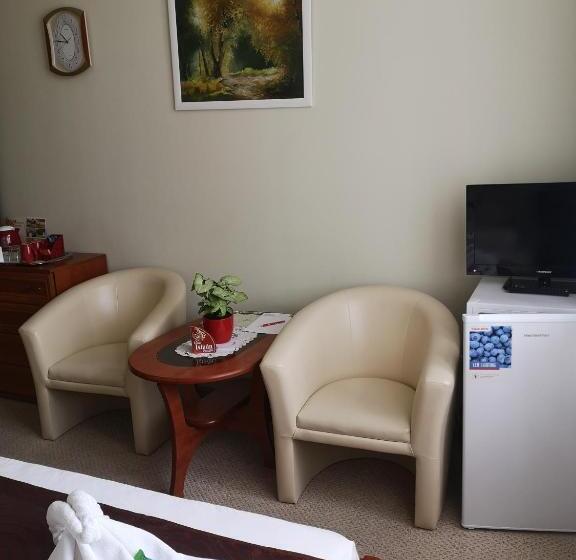 장애인을 위한 스탠다드 룸, Szent István Wellness Panzió