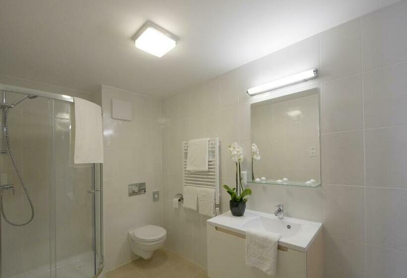 חדר סטנדרט, Merops Mészáros