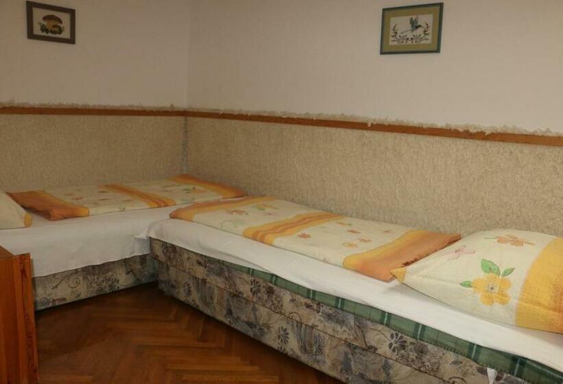 家庭间, Villa Plattensee