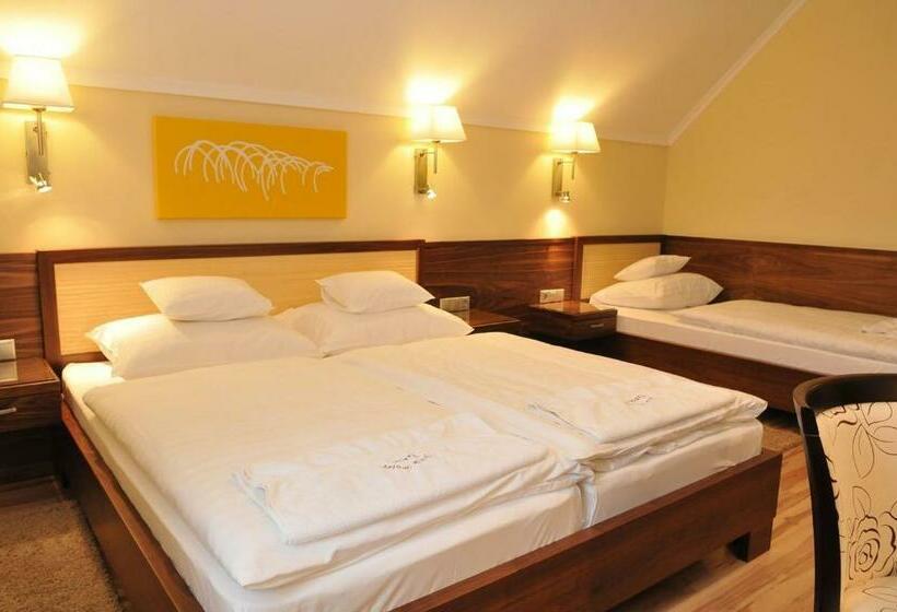 غرفة سوبيريور ثلاثية, Mizse Motel