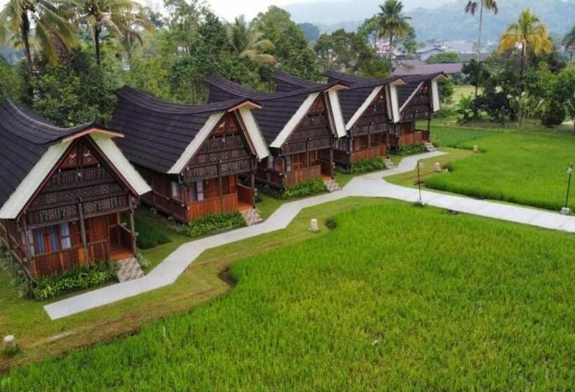 Люкс, Toraja Misiliana