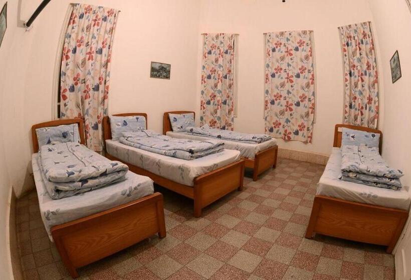 اتاق استاندارد چهار تخته, Bauhaus Motel