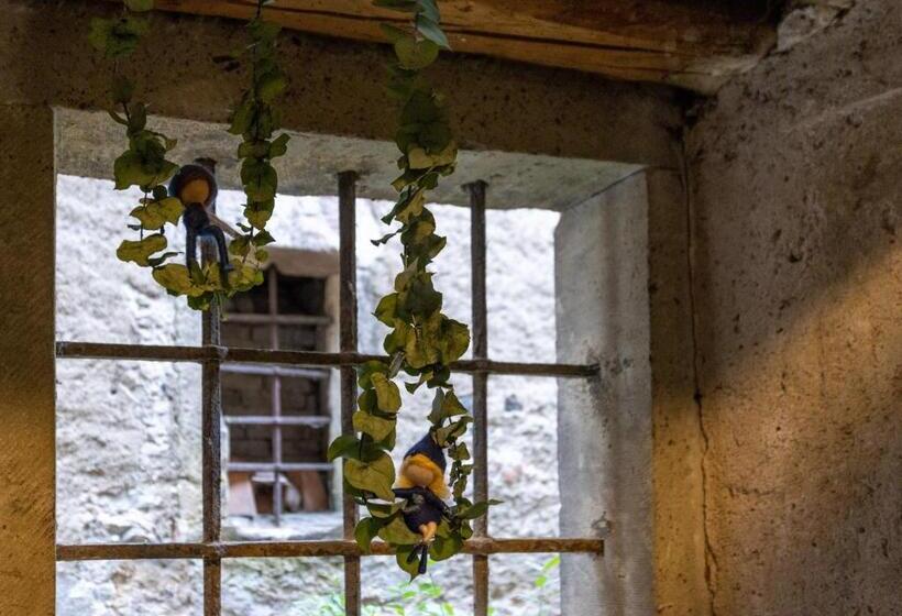 스탠다드 룸, Ambrosia Hüsli