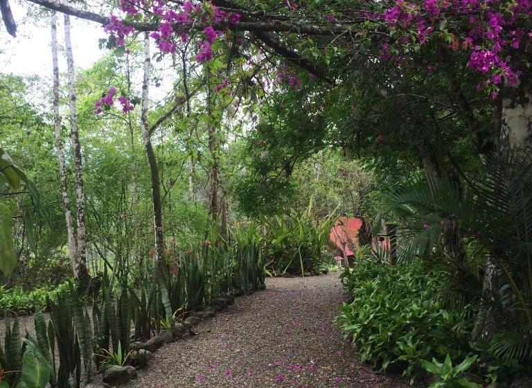 サイドシービューファミリールーム, Samai Lodge Holistic Living